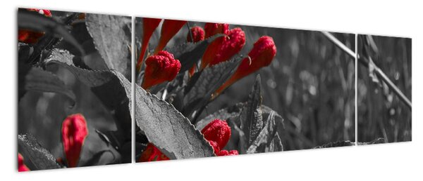 Červené květy - moderní obrazy (170x50cm)