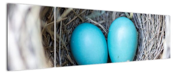 Obraz modrých vajíček v hnízdě (170x50cm)