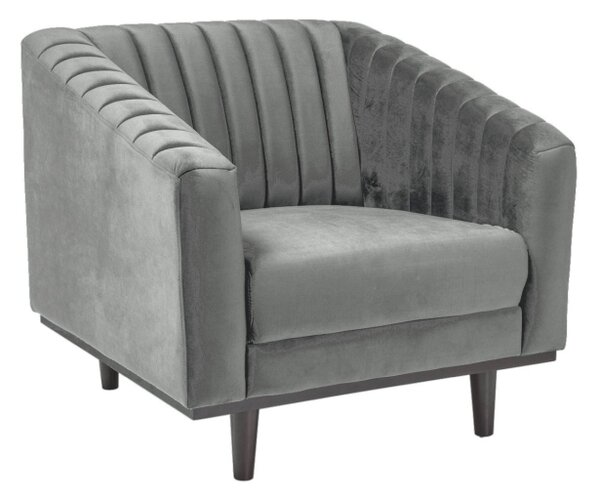Křeslo Asprey Velvet 1, šedá