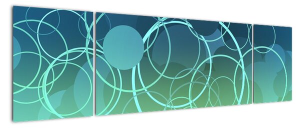 Kruhy - abstraktní obraz (170x50cm)