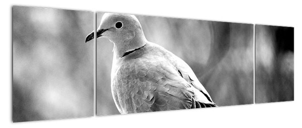 Černobílý obraz ptáka (170x50cm)