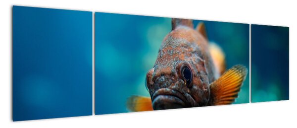 Obraz - ryba (170x50cm)