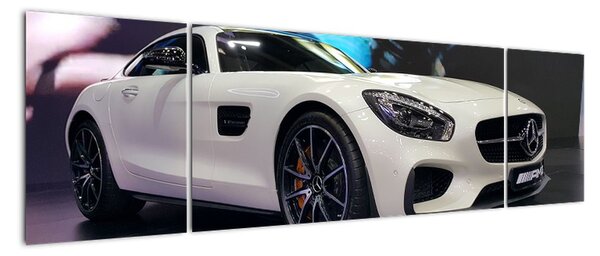Obraz závodního automobilu (170x50cm)