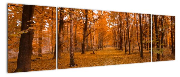Obraz lesní cesty (170x50cm)