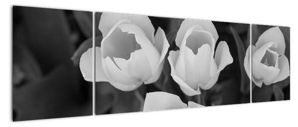 Černobílé květy (170x50cm)
