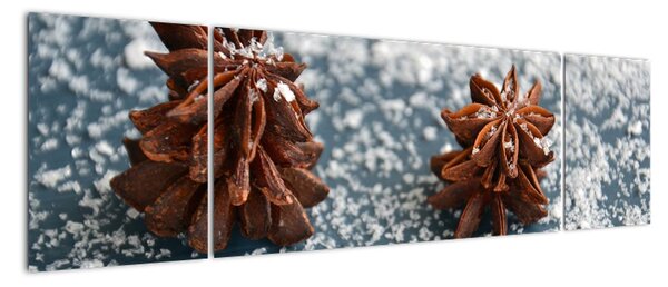 Obraz - koření (170x50cm)