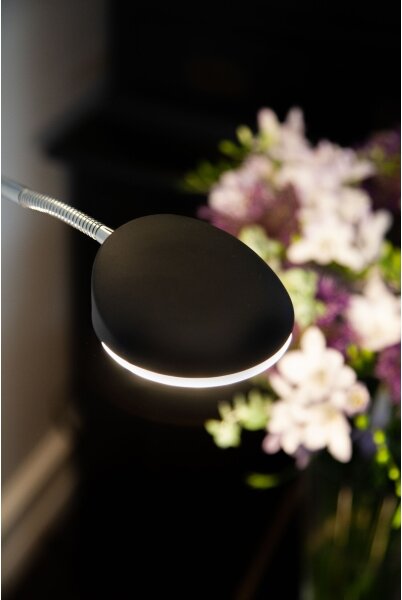 Halo Design 716067- LED Stm. stoj. lampa VEGAS LED/20W/230V + LED/5W černá/chrom