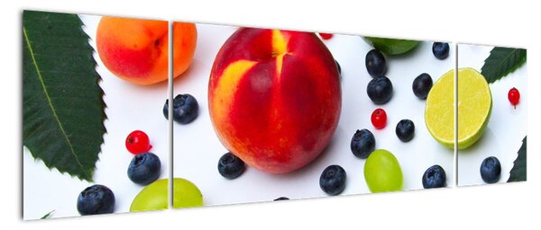 Obraz ovoce (170x50cm)