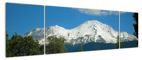 Obraz na zeď (170x50cm)