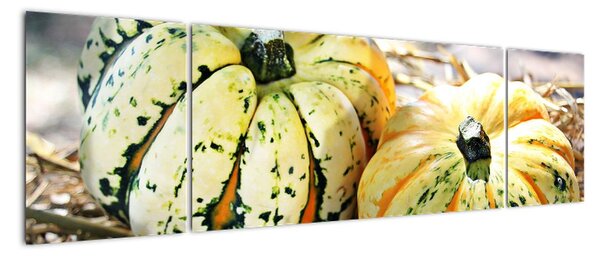Obraz dýní na stěnu (170x50cm)