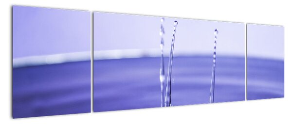 Obraz na zeď (170x50cm)