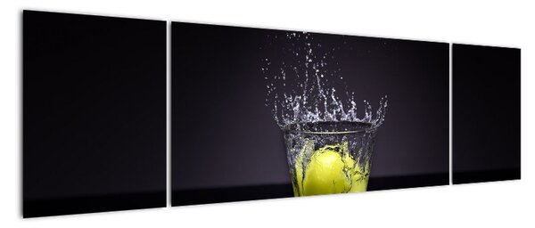Obraz na stěnu (170x50cm)