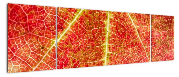Abstraktní obraz (170x50cm)