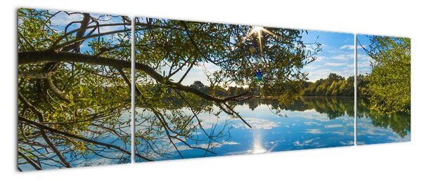 Obraz na stěnu (170x50cm)