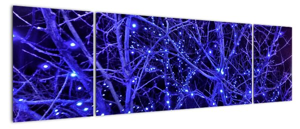 Obraz na zeď (170x50cm)