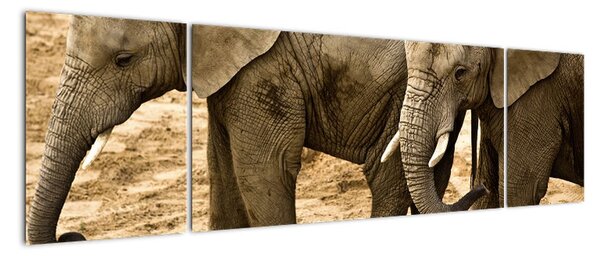 Slon, obraz (170x50cm)