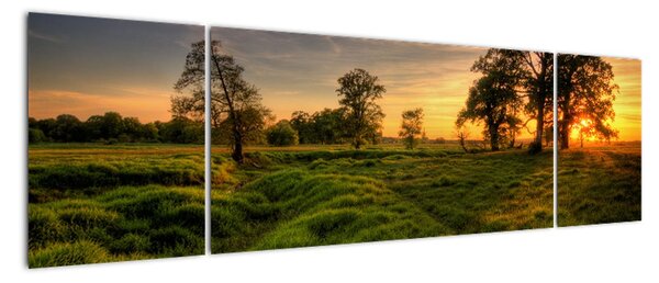 Západ slunce v krajině, obrazy (170x50cm)