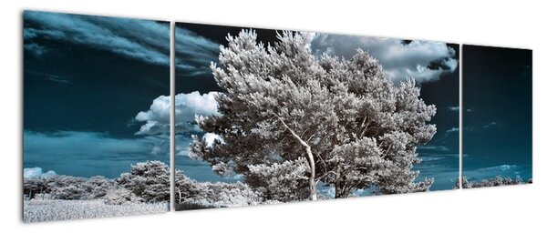Strom v zimě, obraz na zeď (170x50cm)