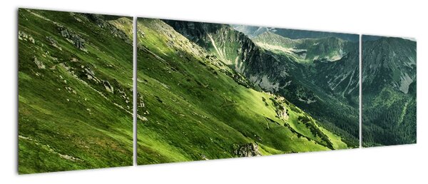 Pohoří hor - obraz na zeď (170x50cm)