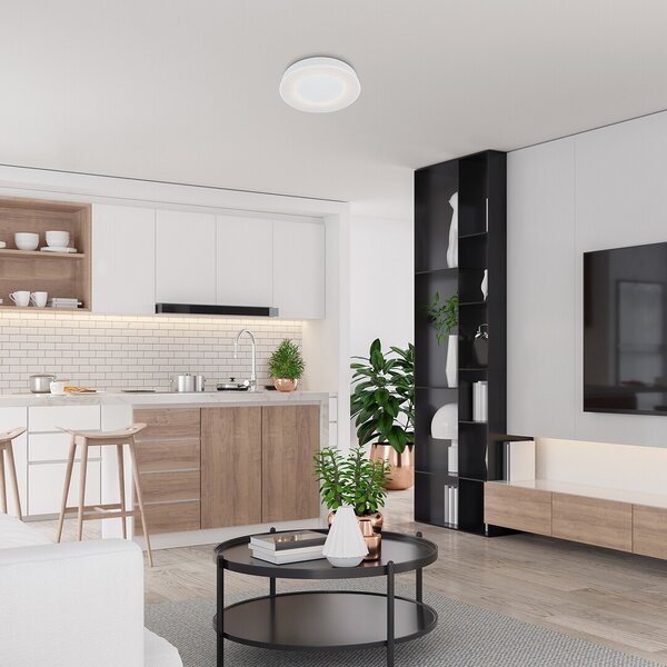 Rabalux 3083 LED stropní svítidlo Ceilo 1x38W | 3200lm | 3000-6500K - stmívatelné, dálkové ovládání, bílá