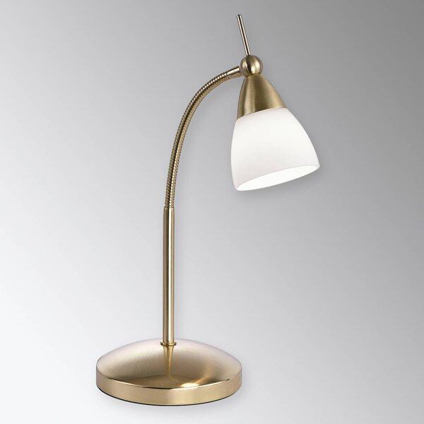 Paul Neuhaus Pino stolní lampa, mosaz, 45 cm, stmívatelná, G9, stmívatelný, Mosaz / zlato, Obývací pokoj / jídelna, kov, Moderní