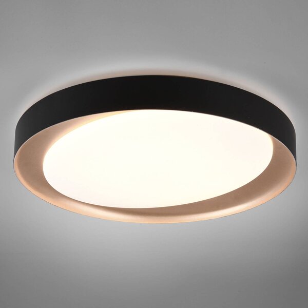 Reality Leuchten LED stropní světlo Zeta tunable white, černá/zlatá, stmívatelný, Černá, Obývací pokoj / jídelna, Plast, Moderní
