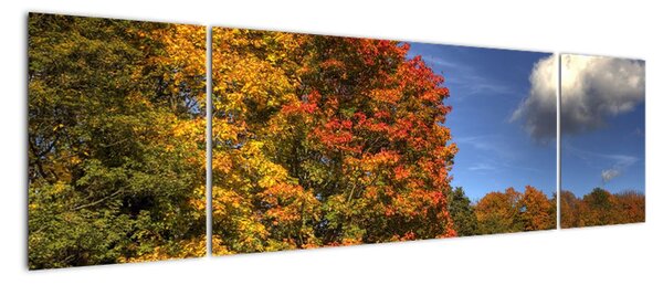 Podzimní stromy - obraz (170x50cm)