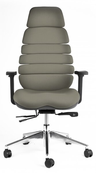 Kancelářská ergonomická židle SPINE s podhlavníkem — látka, nosnost 130 kg Šedá