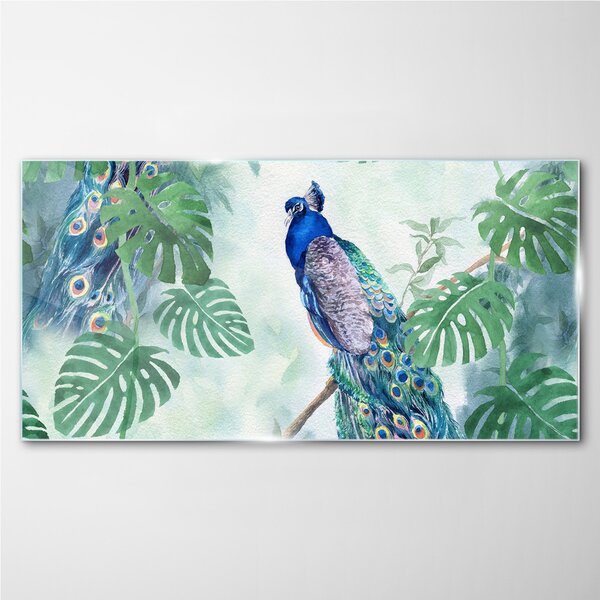 Obraz na skle Obraz na skle Větev listy pták páv