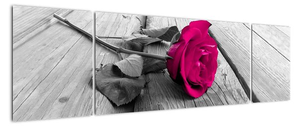 Obrazy květin - růže (170x50cm)