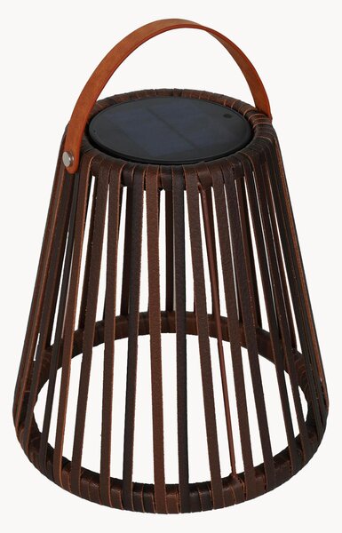 Solární stolní LED lampa Evania