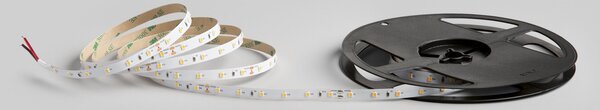 FAN STRIP24V-2835-5C LED pásek SMD 24 V 5 W/m 2375 lm 3000 K CRI > 90 5 m - FANEUROPE