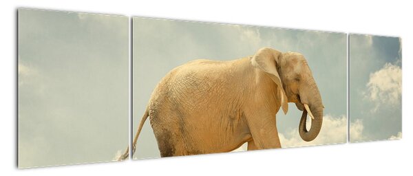 Slon na laně, obraz (170x50cm)