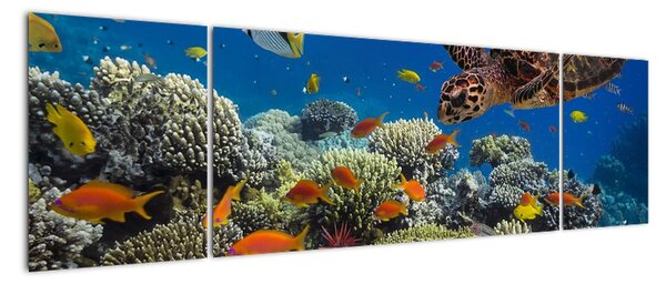 Obraz podmořského světa (170x50cm)