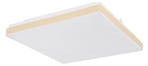 Globo 48296W - LED Stropní svítidlo RAINA LED/12W/230V