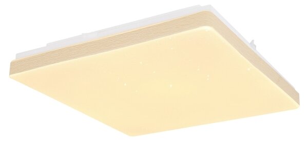 Globo 48296W - LED Stropní svítidlo RAINA LED/12W/230V