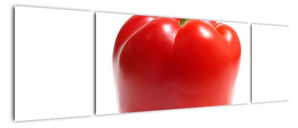 Paprika červená, obraz (170x50cm)