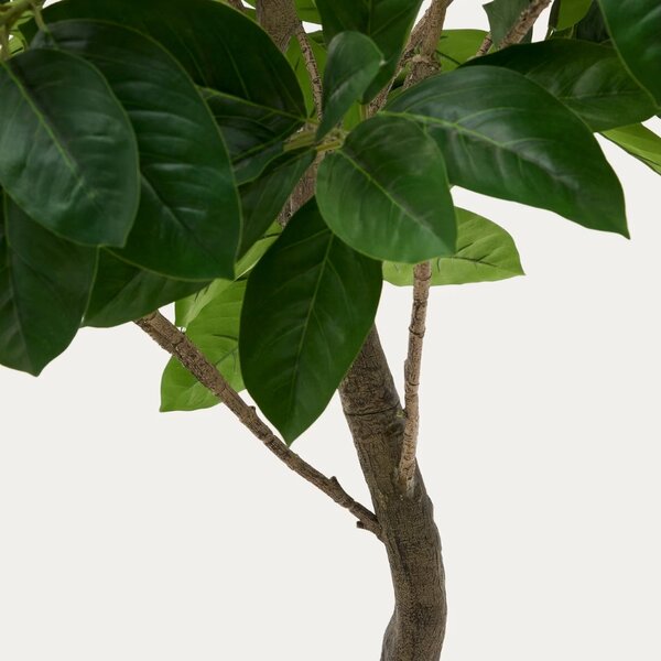 LÉTO -15% Umělá květina Kave Home Ficus 210 cm