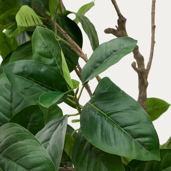LÉTO -15% Umělá květina Kave Home Ficus 210 cm