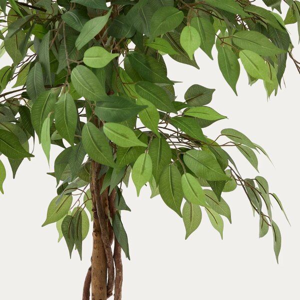 Umělá květina Kave Home Ficus 180 cm