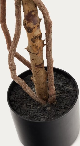 Umělá květina Kave Home Ficus 180 cm