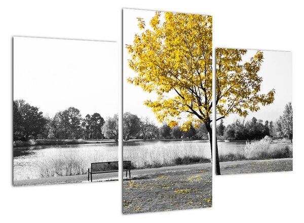 Obraz žlutého stromu v přírodě (90x60cm)