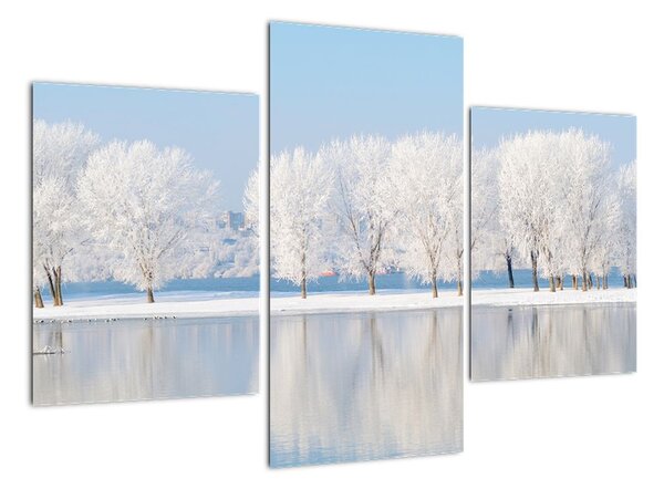 Obraz - zimní příroda (90x60cm)