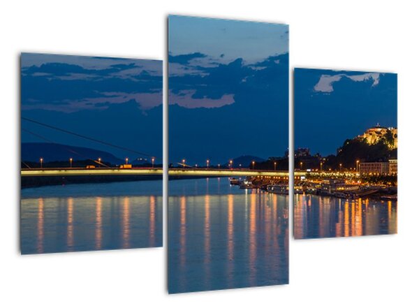 Obraz - Bratislava (90x60cm)