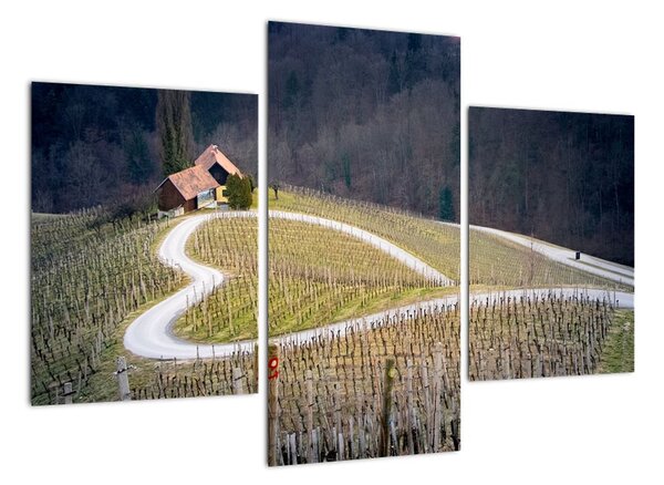 Cesta ve vinici ve tvaru srdce (90x60cm)