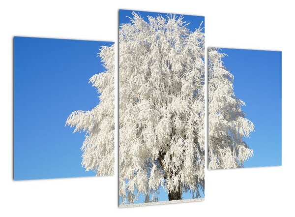 Zasněžený strom - obraz (90x60cm)