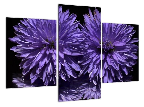 Obraz fialových květů (90x60cm)
