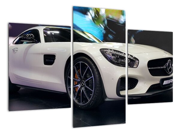 Obraz závodního automobilu (90x60cm)