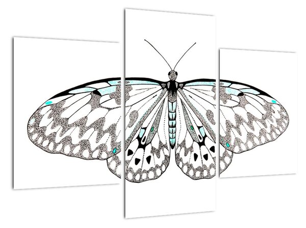 Černobílý motýl (90x60cm)