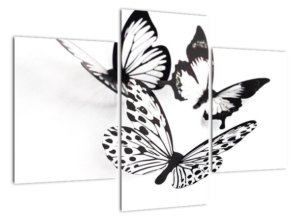 Obraz motýlů (90x60cm)